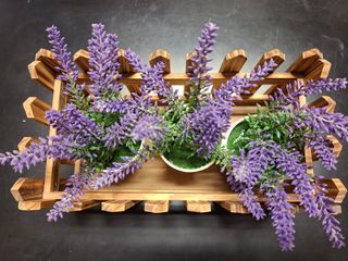 Staccionata in legno con 3 piantine