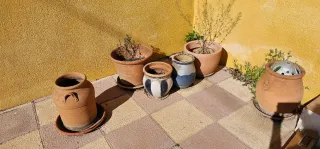 Conjunto de 5 Macetas de Cerámica