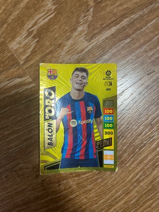 Cartas Panini Adrenalyn XL