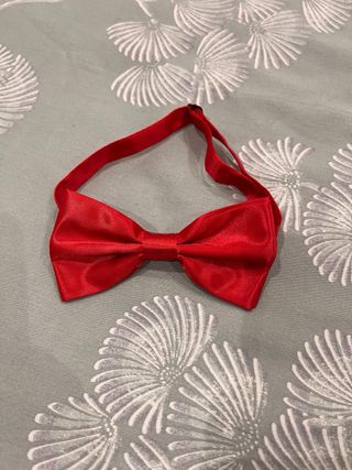 Lote 5 Pajaritas Colores Varios