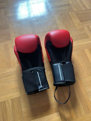 Guantes Boxeo Rojo/Negro 10oz