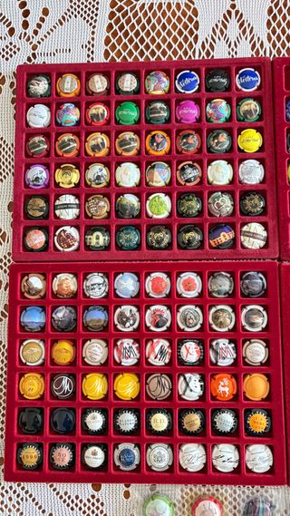 Lote 175 Placas de Cava MONT-FERRAN *MIR VIDAL.etc