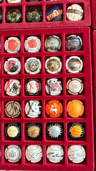 Lote 175 Placas de Cava MONT-FERRAN *MIR VIDAL.etc