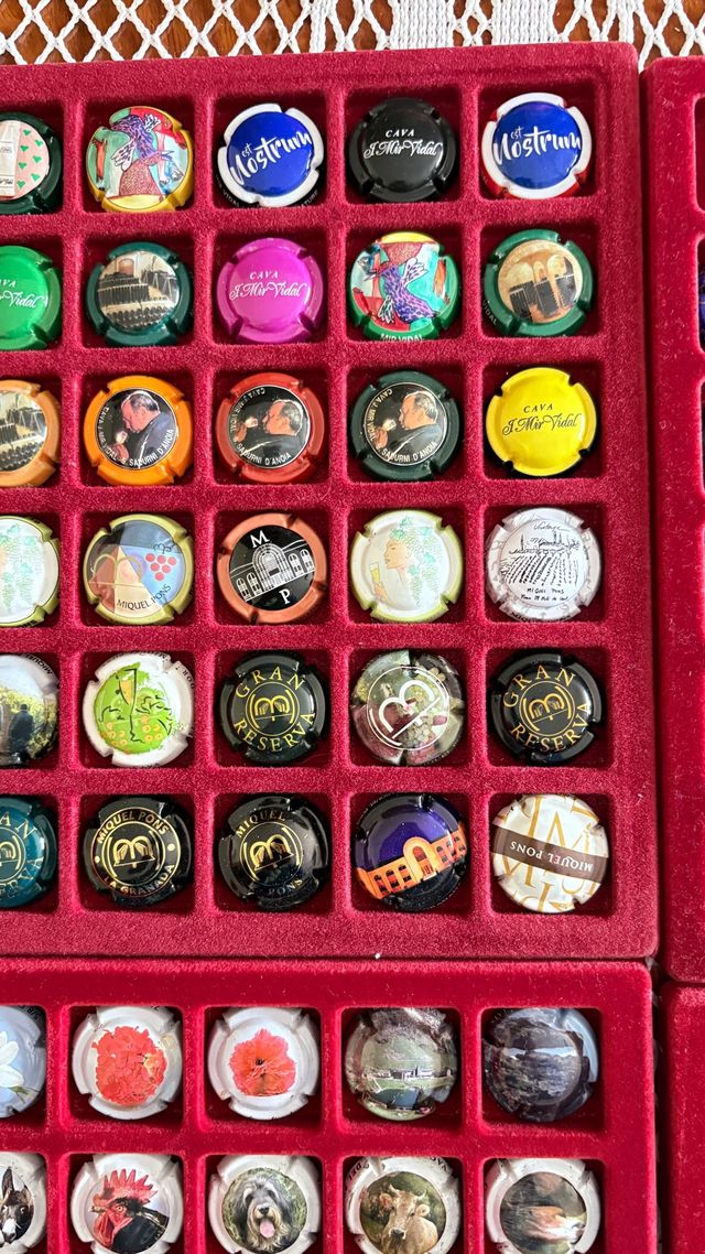 Lote 175 Placas de Cava MONT-FERRAN *MIR VIDAL.etc