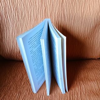 Hotel Afrodisia (Spanish Edition) (Hotel Aphrodisi