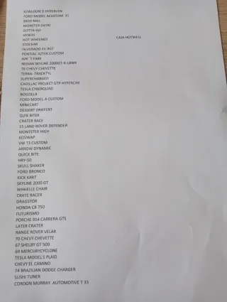 Colección 50 Coches Hot Wheels