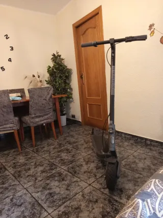 Patinete Eléctrico Gris