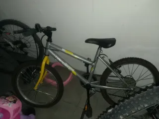 Bicicleta de montaña plateada