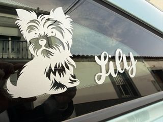Vinilos Personalizados para tu coche