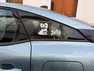 Vinilos Personalizados para tu coche