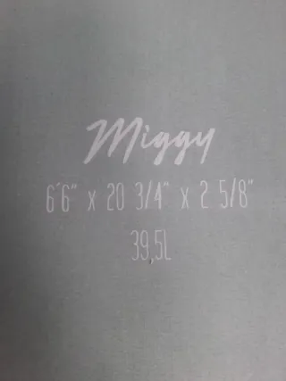 Tabla de surf evolutiva