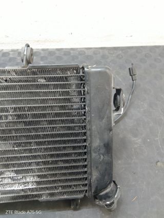 Radiatore Acqua Suzuki SV 650 S 99-02