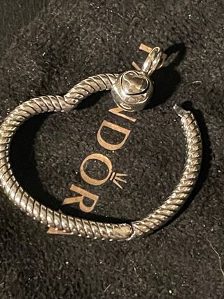 Colgante Pandora Moments Plata