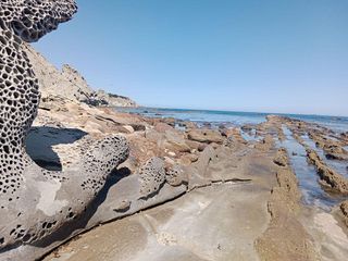 Terreno en venta en Tarifa