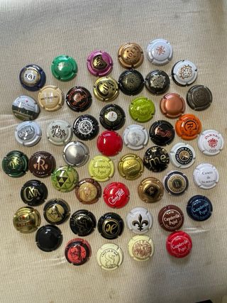 Lote 50 Placas de Cava Variadas