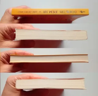 Un pesce sull'albero di Lynda Mullaly Hunt