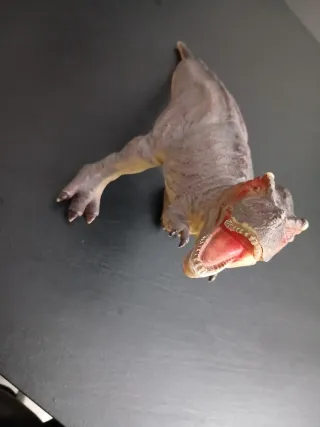 Dinosauro giocattolo