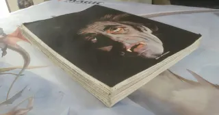 Lote Revista Zeppelin