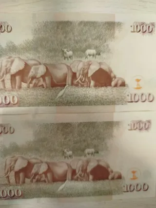 2 Banconote Kenya 1000 Serie Correlativa usate