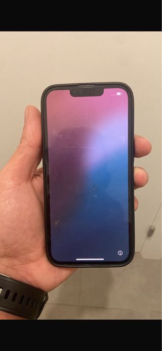 iPhone 13 Pro 256 GB