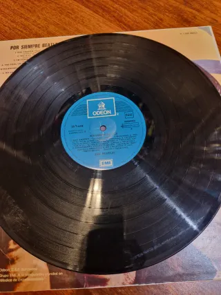 Vinilo The Beatles Por Siempre