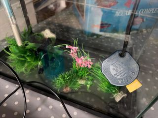 Acuario 20L Completo