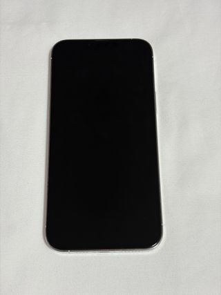 iPhone 13 Pro Max Plata