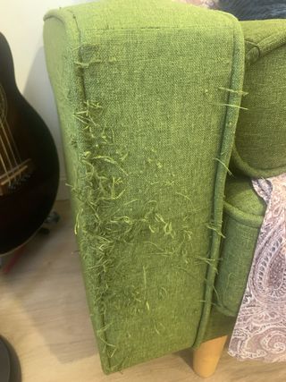 URGE VENDER Sofá Cama Verde Tela