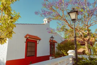 Finca rustica de 11.000 M2 con vivienda de 250 M2.