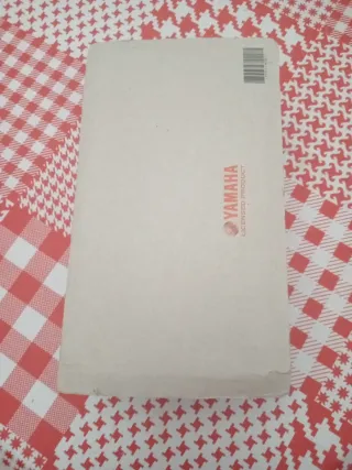 Moto GP Valentino Rossi 2009 GP Misano