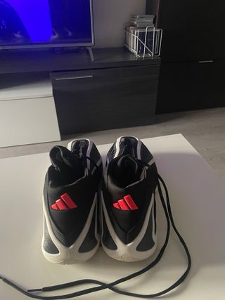 Zapatillas Adidas Baloncesto Talla 45