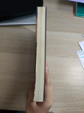 Harry Potter y la piedra filosofal (Harry Potte...