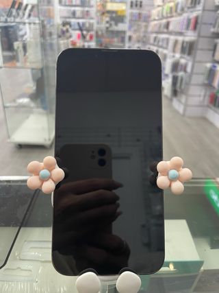 iPhone 13 Pro Max 256GB Gris