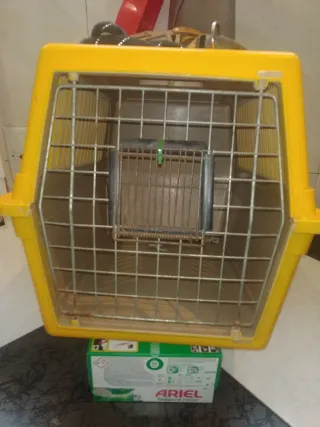 Transportín y Accesorios Perro