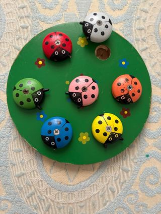 Puzzle de madera de mariquitas