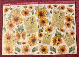 Set di Carta Velo e Carta di Riso per Decoupage