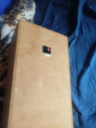 Altavoz Kenwood Marrón y Plateado