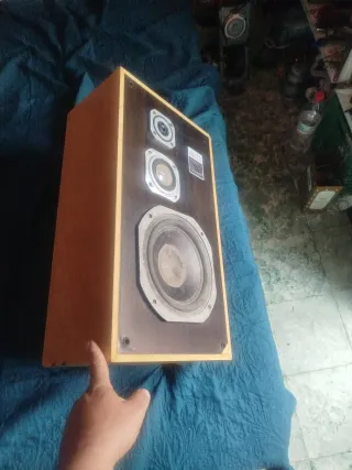 Altavoz Kenwood Marrón y Plateado