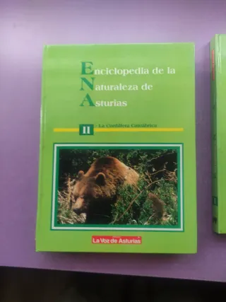 Enciclopedia de la Naturaleza de Asturias