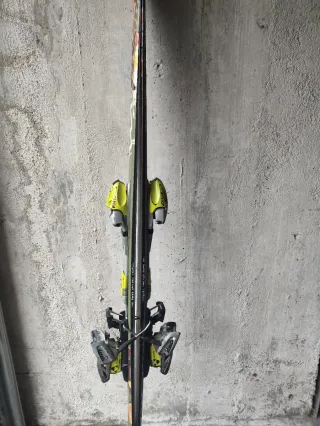 Esquís Movement Zoo