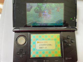 Giapponese Animal Crossing New Leaf Nintendo 3ds N