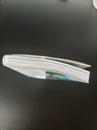 THE PROMISED NEVERLAND