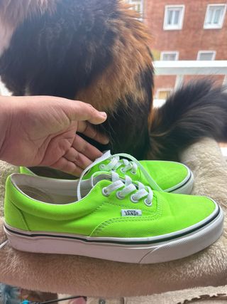 Zapatillas Vans Verdes