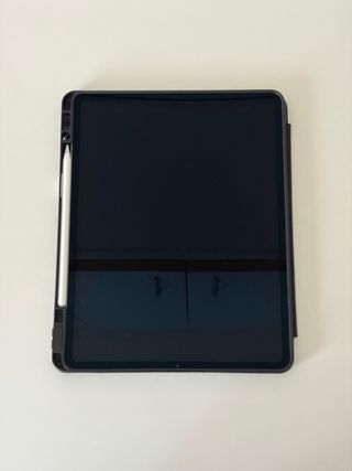 iPad Pro 12.9 3ª Gen