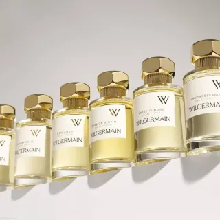 Pack 2uds Javier Perfume Wilgermain Aquafortis