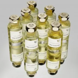 Pack 2uds Javier Perfume Wilgermain Aquafortis