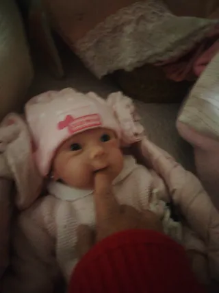 Muñeca Bebé Reborn Rosa