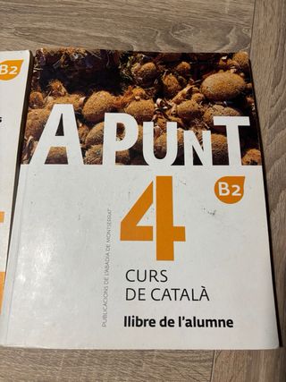 A punt. Curs de català. Llibre de l'alumne, 4