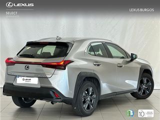 Lexus UX 250H BUSSINES 2WD