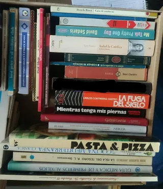 Lote CHOLLO de 32 libros y revistas